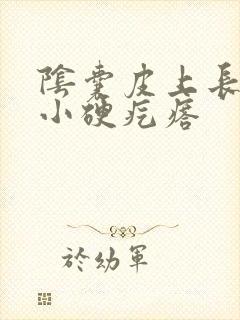 阴囊皮上长了个小硬疙瘩