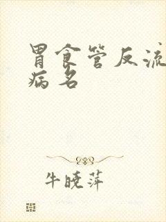 胃食管反流中医病名