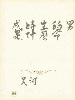 戌时生的男孩子是什么命