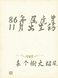 86年属虎农历11月出生的命运封面