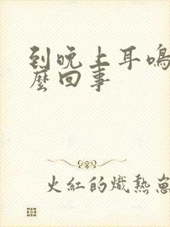 到晚上耳鸣是怎么回事封面