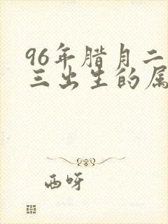 96年腊月二十三出生的属鼠的命运