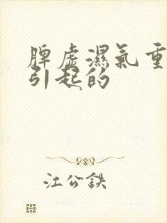 脾虚湿气重怎么引起的