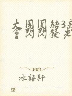 大团圆结3亲情会闪闪发光封面