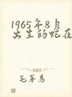 1965年8月出生的蛇在今年命运如何