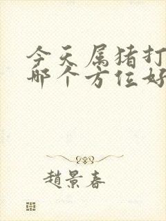 今天属猪打牌坐哪个方位好封面