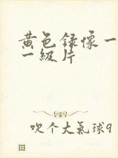 黄色录像一级片一级片封面