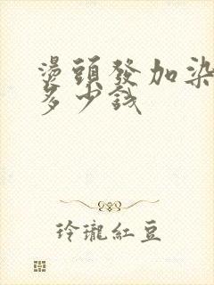 烫头发加染头发多少钱