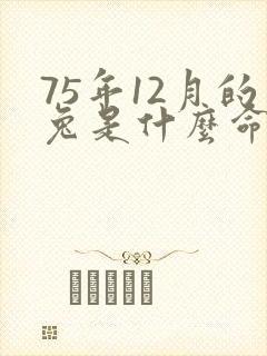75年12月的兔是什么命