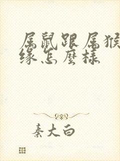 属鼠跟属猴的姻缘怎么样封面