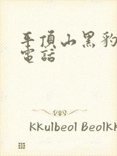 平顶山黑豹物流电话