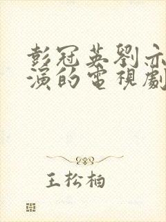 彭冠英刘亦菲主演的电视剧