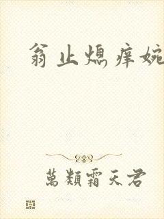 翁止熄痒婉燕封面