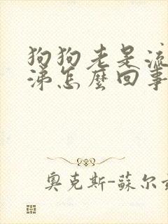 狗狗老是流黄鼻涕怎么回事