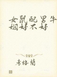 女鼠配男牛的婚姻好不好