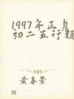 1997年正月初二五行类型的命