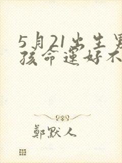 5月21出生男孩命运好不好封面