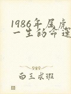 1986年属虎一生的命运