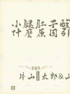 小腿肚子酸胀痛什么原因引起的女性