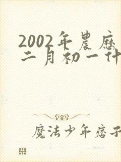2002年农历二月初一什么命封面