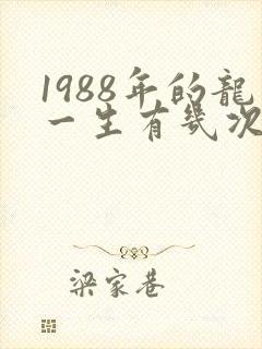 1988年的龙一生有几次婚姻封面