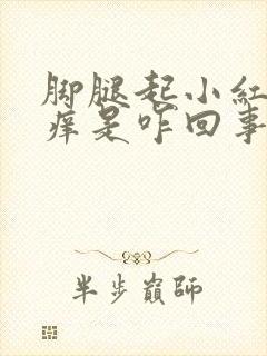 脚腿起小红疙瘩痒是咋回事