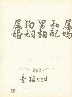 属狗男和属龙女婚姻相配吗