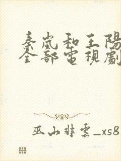 秦岚和王阳演的全部电视剧封面