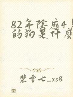 82年阴历4月的狗是什么命