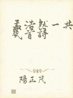 孟浩然一共写了几首诗