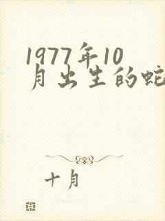 1977年10月出生的蛇命运