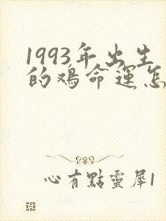 1993年出生的鸡命运怎么样封面