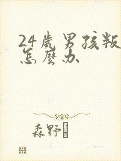 24岁男孩叛逆怎么办封面