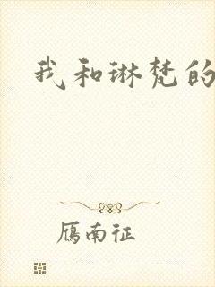 我和琳梵的故事
