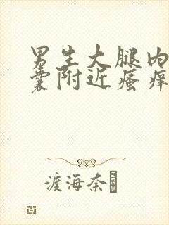 男生大腿内侧阴囊附近瘙痒用什么药