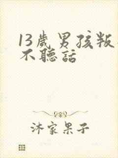 13岁男孩叛逆不听话