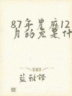 87年农历12月的兔是什么命