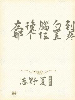 左后脑勺到颈椎那个位置疼