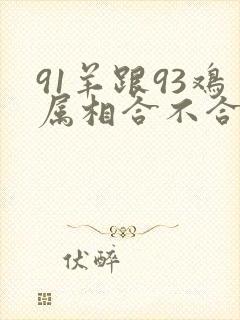 91羊跟93鸡属相合不合封面