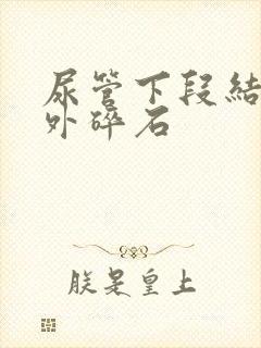 尿管下段结石体外碎石