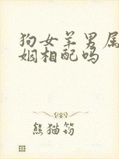 狗女羊男属相婚姻相配吗