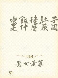 吃饭后肚子胀气是什么原因封面