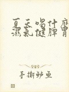 夏天喝什么粥祛湿气健脾胃