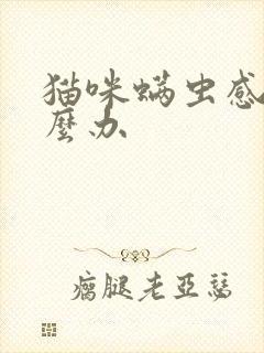 猫咪螨虫感染怎么办封面