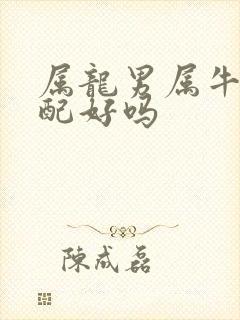 属龙男属牛女婚配好吗