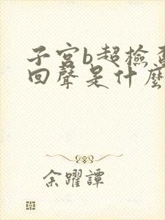 子宫b超检查无回声是什么意思