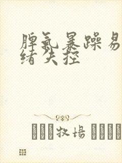 脾气暴躁易怒情绪失控封面