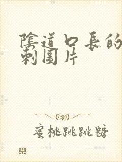 阴道口长的小肉刺图片