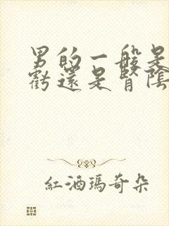 男的一般是肾阳亏还是肾阴亏