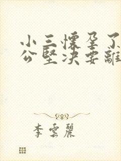 小三怀孕了,老公坚决要离婚